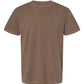 Comfort Colors Garment-Dyed Heavyweight Colors T-shirt C1717