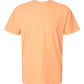 Comfort Colors Garment-Dyed Heavyweight Colors T-shirt C1717