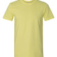 Gildan 64000 Unisex Softstyle T-Shirt