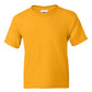 Gildan 8000B Youth Dryblend T-Shirt